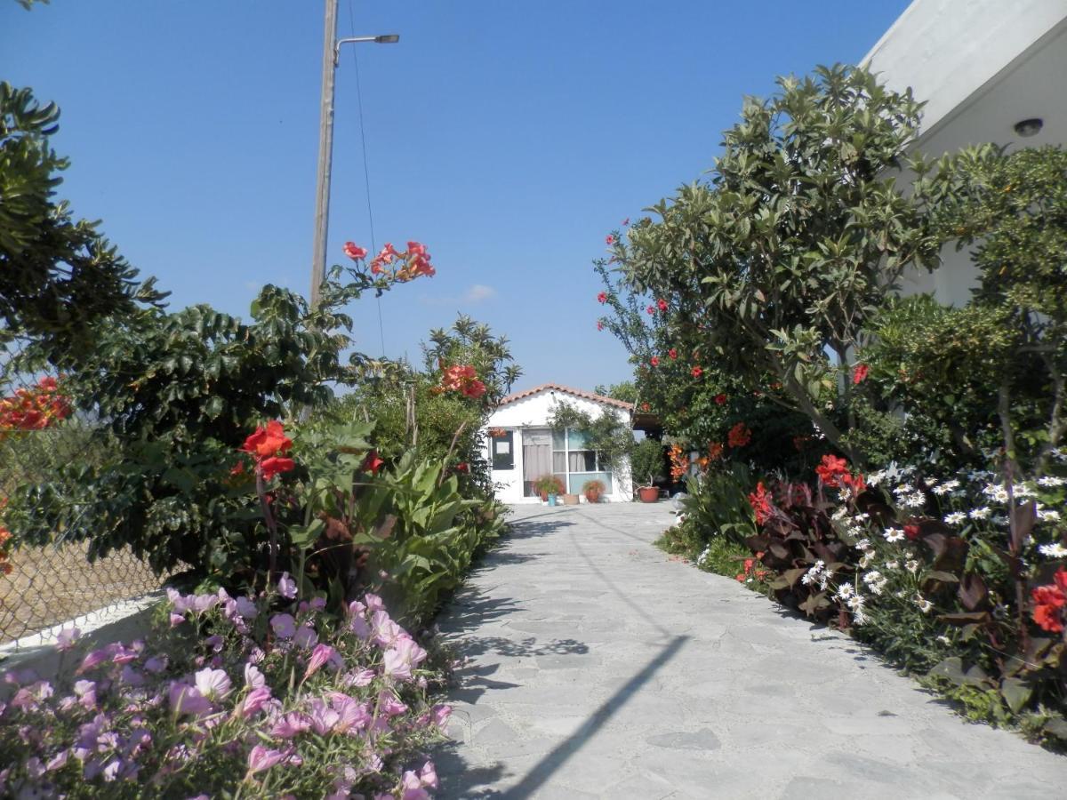 Silvi Mari Apartments Platanes  Exteriér fotografie