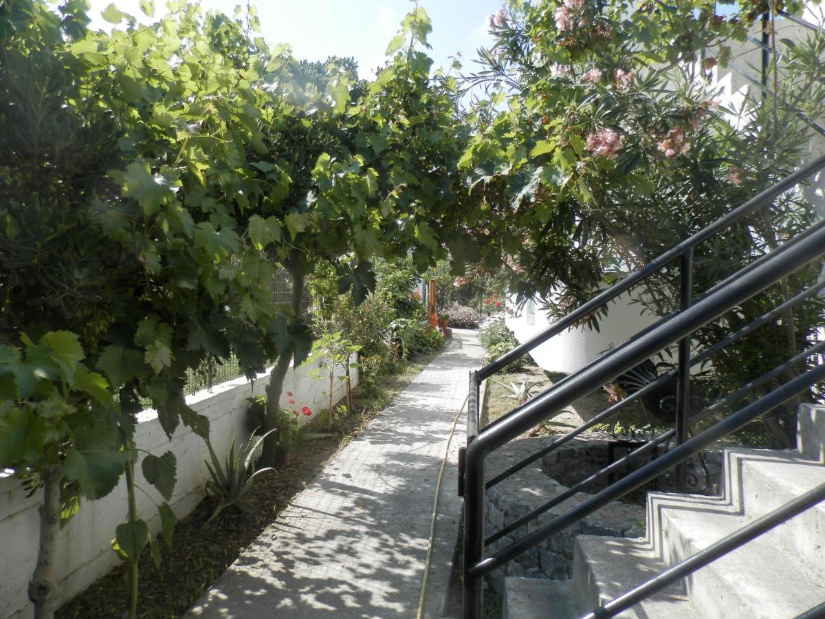 Silvi Mari Apartments Platanes  Exteriér fotografie